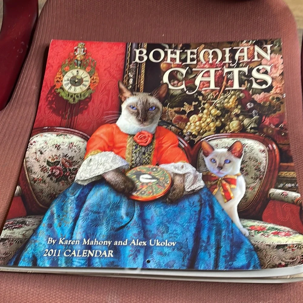 12“ x 12“ 2011 bohemian cats calendar out of package, has not been written in